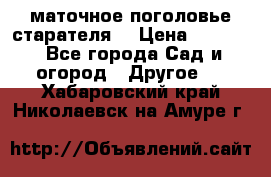 маточное поголовье старателя  › Цена ­ 3 700 - Все города Сад и огород » Другое   . Хабаровский край,Николаевск-на-Амуре г.